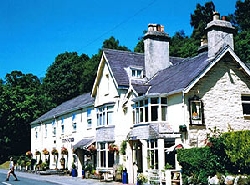 pic1.jpg