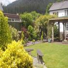 Glenwood Cottage 2026 Garden 01